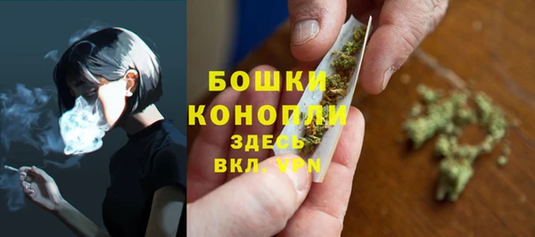 spice Богородск