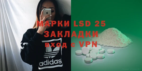 spice Богородск