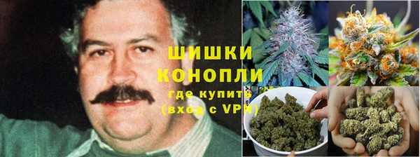 spice Богородск